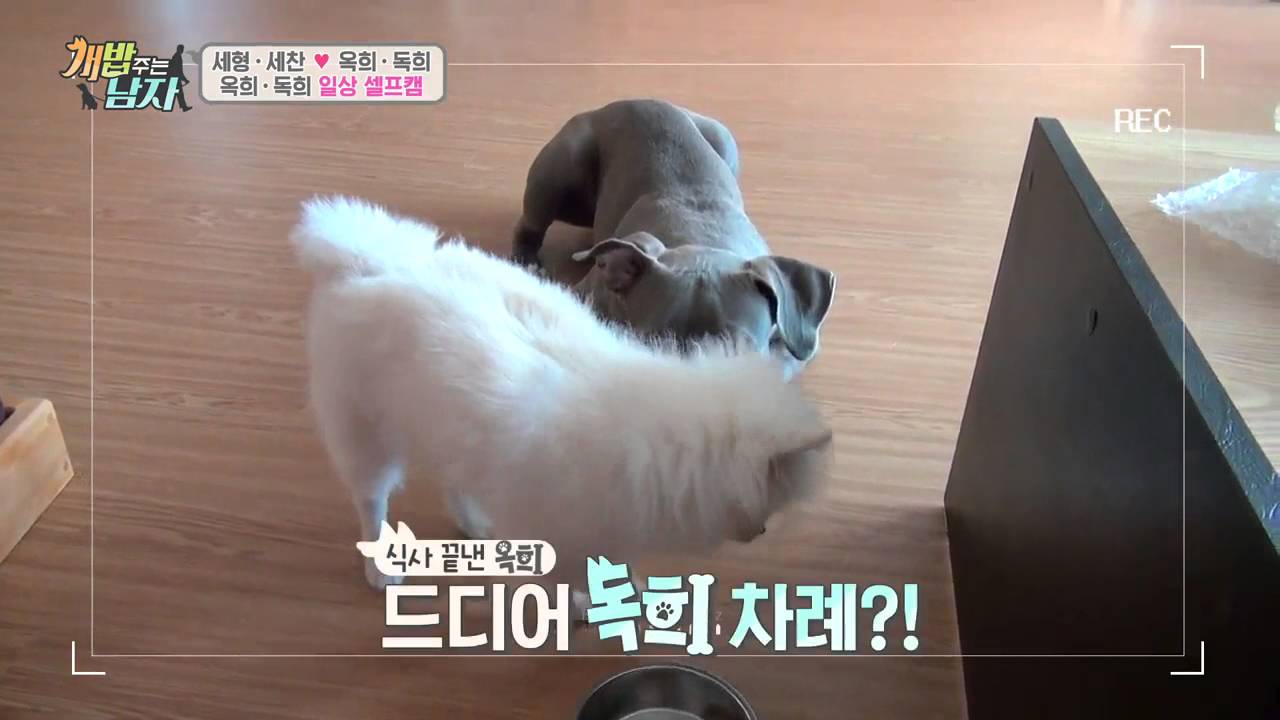 독희 가지고 노는 옥희?! 