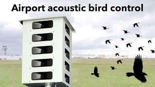 BirdGard Super Pro AMP Airport