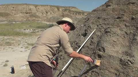 What do Geologists do?