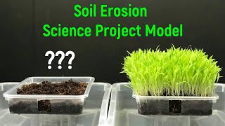 soil erosion | soil erosion model with real plants | soil erosion prevention | soil conservation