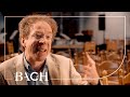 Bernardini on Bach Cantata BWV 199 | Netherlands Bach Society