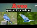 Aves general characters part 02 b.sc. 4th Sem. CDLU