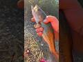Caught this little guy!!! #easttn #funnybaby #cute #funny #fishing