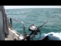 賓利號 船釣大石斑 X4中風了  grouper fishing