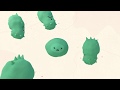 Understanding the Microbiome