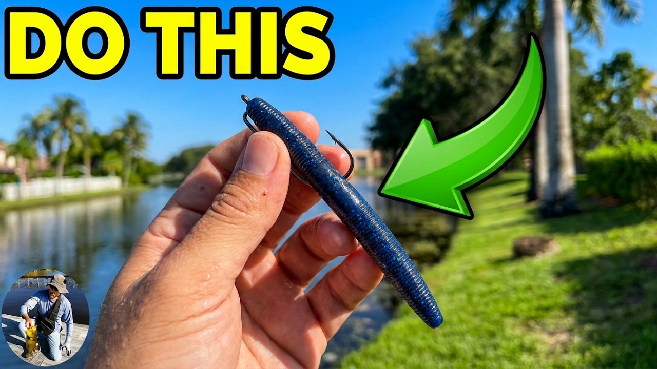 My Go-To Bass Lure for Exploring New Ponds