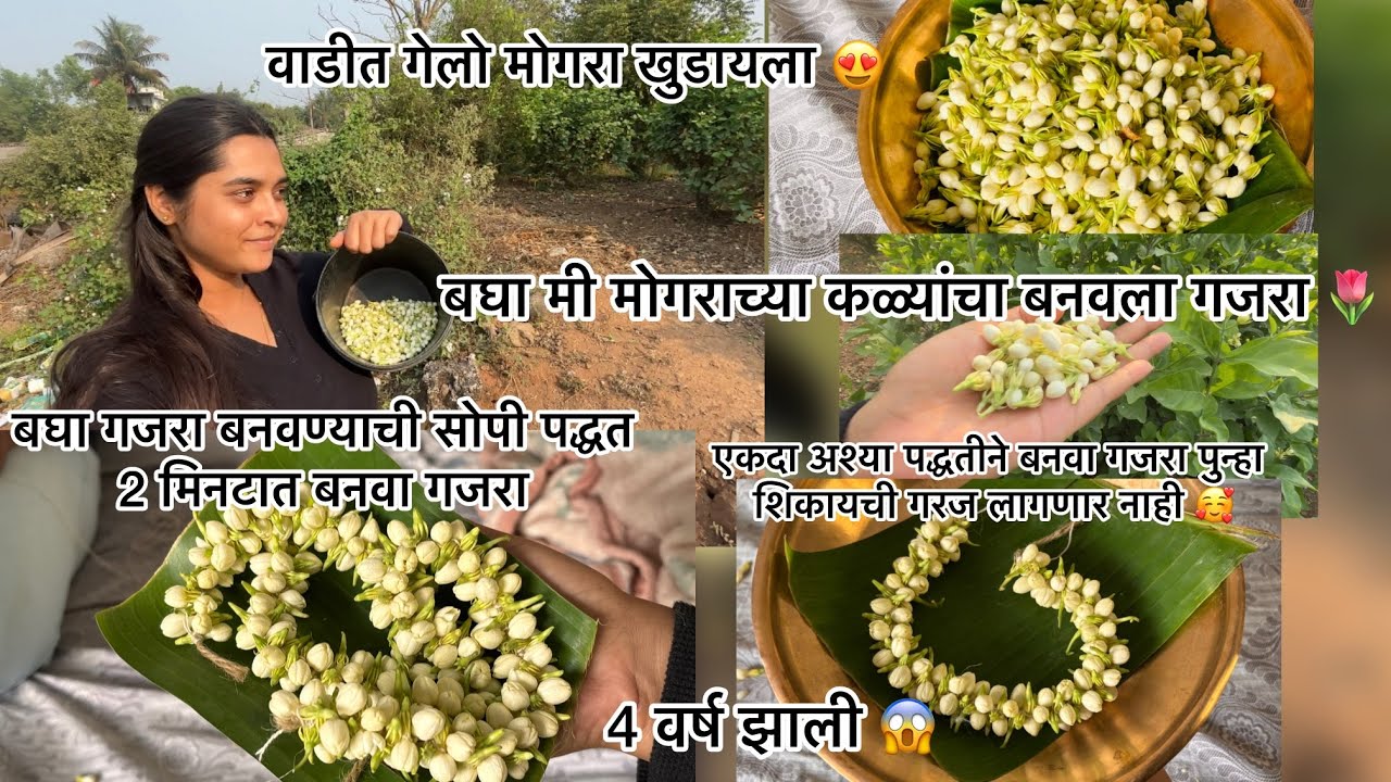 वाडीत गेलो Mogara खुडायला | Easy way to make gajra😍 आणि बनवला गजरा Full प्रोसेस |4 वर्ष झाली. .??😱