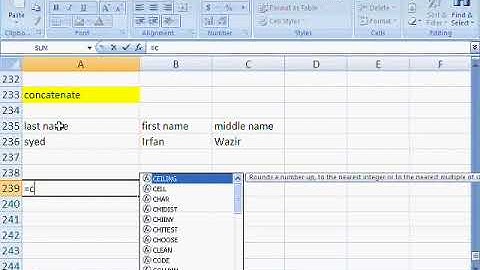 MS Excel Tutorial Urdu or Hindi Part 18