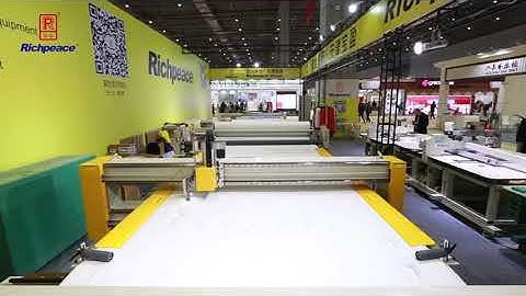 Richpeace Single Head Quilting Machine with Auto Feeding and Cutting System