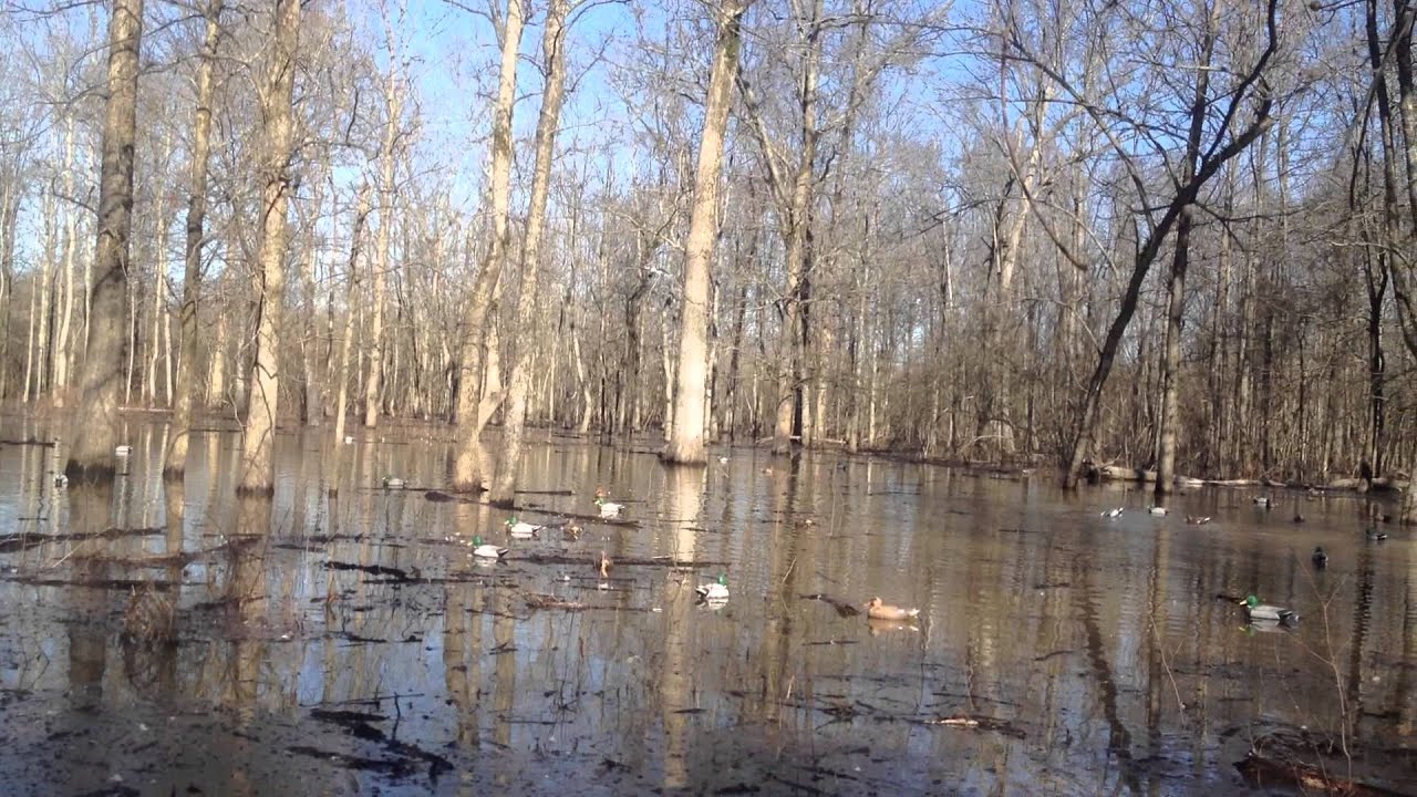 Fortnite smg gun assault rifle submachine typewriter vg247 v5 tactical Bayou Meto Beatdown 2 - YouTube