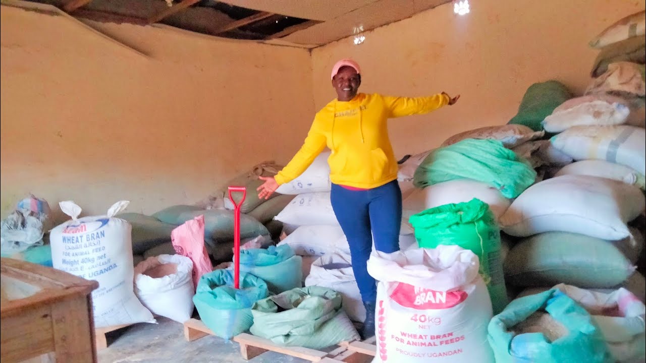 Checking on the progress of my business/Daily struggles as a Business Woman.