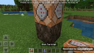 Cara membuat Wither di Minecraft