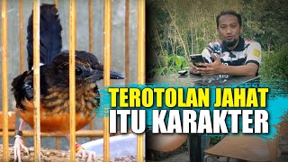 trotolan murai batu jahat itu karakter trotolan murai batu jahat itu karakter