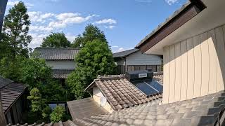 A Quiet Sunny Afternoon in MAY in Japan | Slow Living Silent Vlog | Japanese Garden 2024.05.21