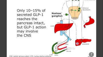 Jens Juul Holst about measuring active or total GLP-1