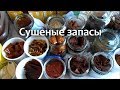 Пастила, чипсы, сухофрукты на зиму своими руками. Сушилка для овощей и фруктов Волтера - 1000