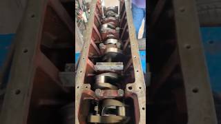 Montando O Motor Mwm D229 Colocando Virabre No Lugar