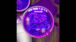 Trrip Sosa - True Romantic Gentleman feat. YC4 & iS (Official Visualizer)