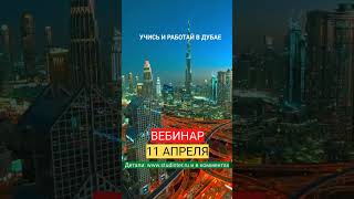 Учись и работай в Дубае