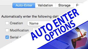 Auto Enter Options for Fields-FileMaker - FileMaker Pro Videos - FileMaker Auto Enter Fields Options