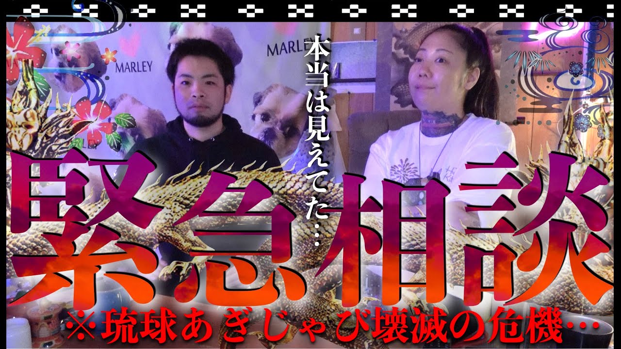 「末吉さん、僕に何か憑いてますか？」体調不良の原因⁉︎そして衝撃の事実が…