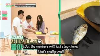 Red Velvet in Idol Room ( Part-11) ENG SUB Ep.15 |Irene feeding fish to wendy