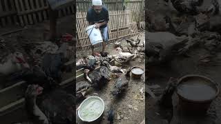 Lantai Tanah Anti Becek shorts