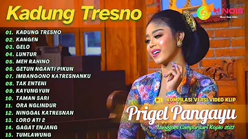 PRIGEL PANGAYU - KADUNG TRESNO - KANGEN  - GELO | KOMPILASI LANGGAM CAMPURSARI TERBARU 2023