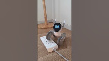 loona robot pretending #loona #loonarobot #loonapetbot #airobot #petbot #petrobot