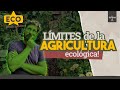 ECO-LÓGICO? Analizando la agricultura ecológica 🐞