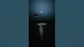 القارئ : احمد النفيس - ماتيسر من سورة آل عمران #quran_h2o #ahmedalnufais
