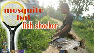 How to make mosquito bat fish shocker. ....!