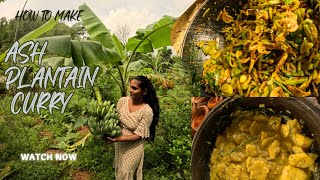 Ash plantain Recipe by Nature With Dila