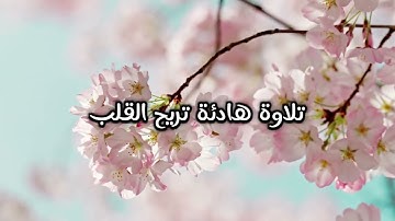 تلاوة هادئة تريح القلب | سورة البينة بصوت جميل بدون مؤثرات