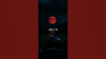 اكتب شيء تؤجر عليه 🤎🌧️ قران كريم | عبد الرحمن مسعد
