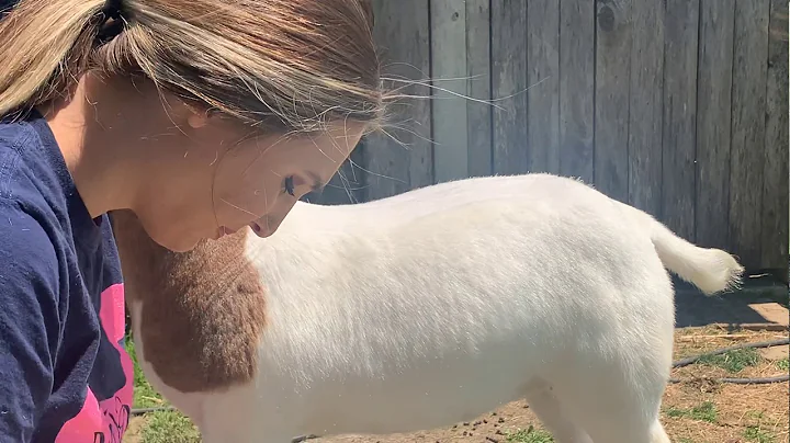 Fitting a Young Doe & Blending Techniques