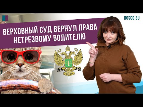 Верховный суд вернул права нетрезвому водителю