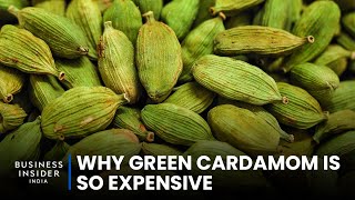 Why Green Cardamom Is So Expensive | So Expensive