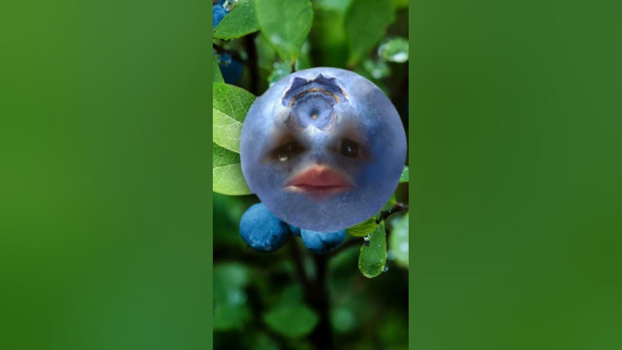 Blue, I’m so lonesome for you Blue, I’m so lonesome for you