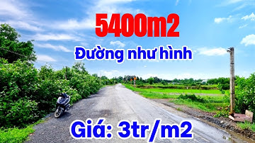5400m2 đất - xã Tân Bửu huyện Bến Lức | Đường nhựa 12m | 0965 65 65 07