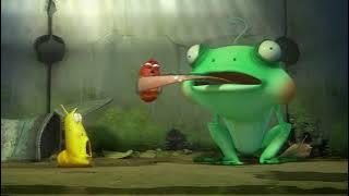 Bee - Larva | WildBrain