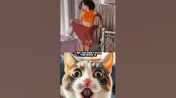 give this video title 🫨 (warning answer) #cat #memes #dance #trending