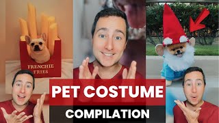 Halloween Costumes for Pets | Taylor Nikolai