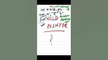 Pointer Shorts in Hindi - Day 16 : What is wild pointer and how to avoid it ? #cprogramming #cpp