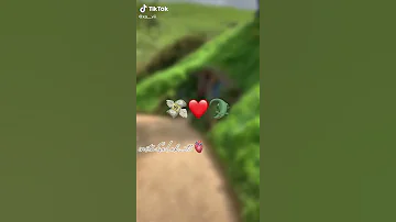 جيبوهلي نمينوتيه 