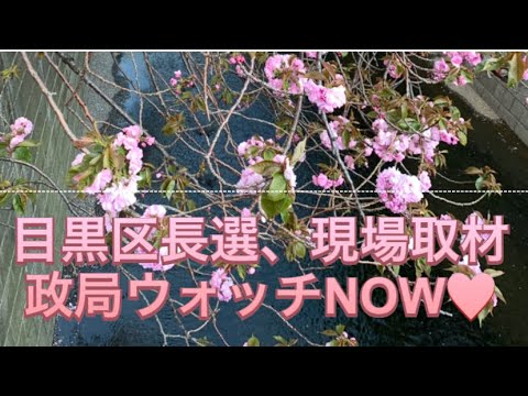 いよいよ明日から目黒区長選挙🗳 NOW NOW❤️19日投開票❣️直前の目黒から現場取材NOW❤️