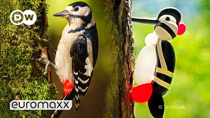 Balloon Art - Making Balloon Birds That Look Like ...
