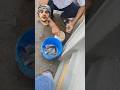 طريقة صيد السمك بالزجاجة