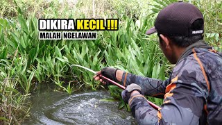 Panic of angler controlling his rod when fish pulls it #SG-451