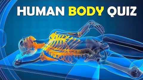 Can You Pass This Human Body Quiz | Trivia Questions | Nice Quiz